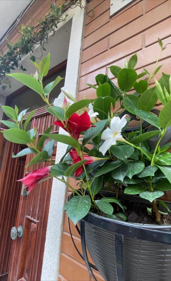 Ca Sal Holiday Home ليزينا المظهر الخارجي الصورة